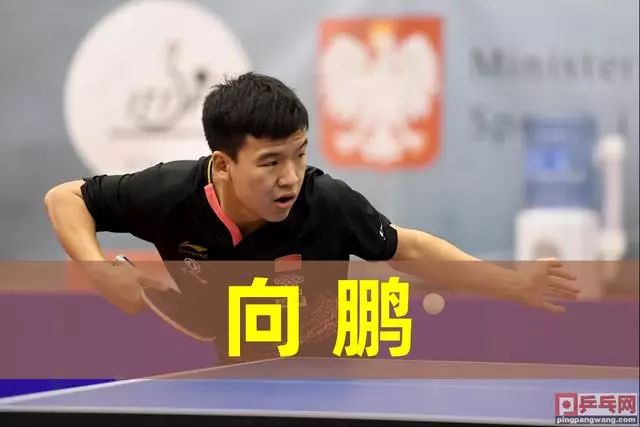 一些有意补 一些有意补