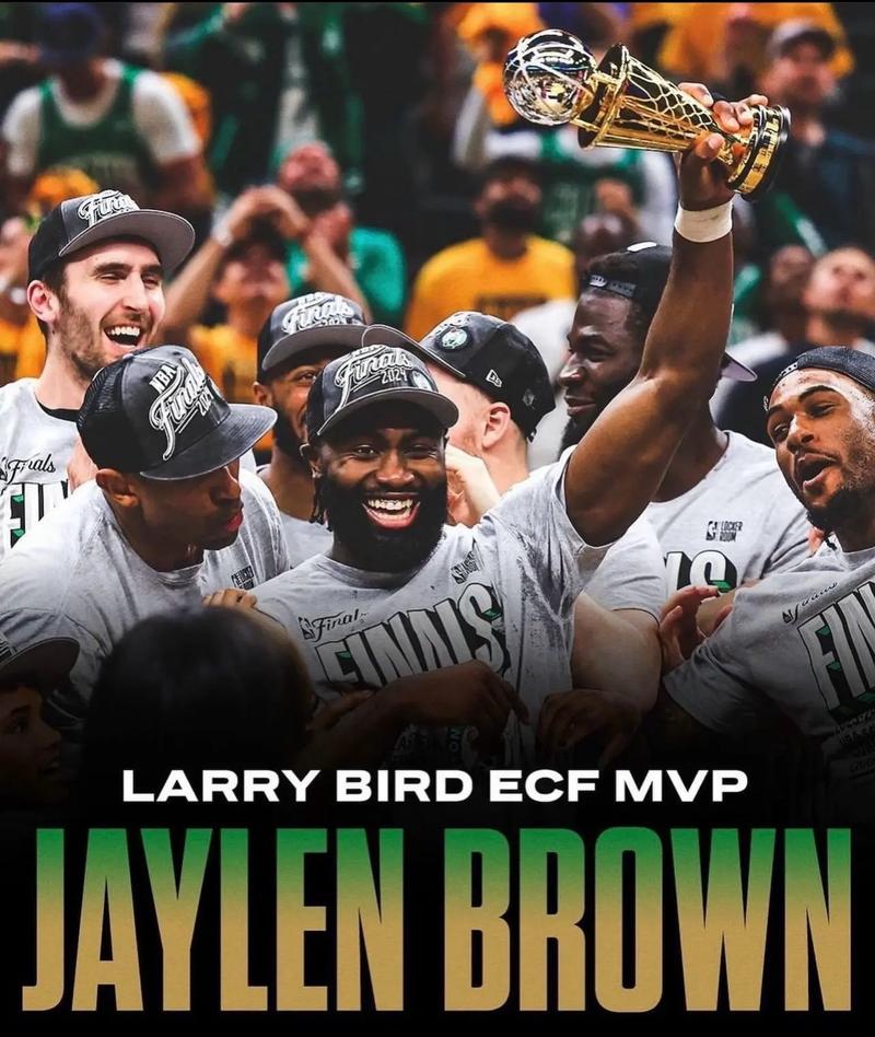 哈兰德又能 哈兰德又能